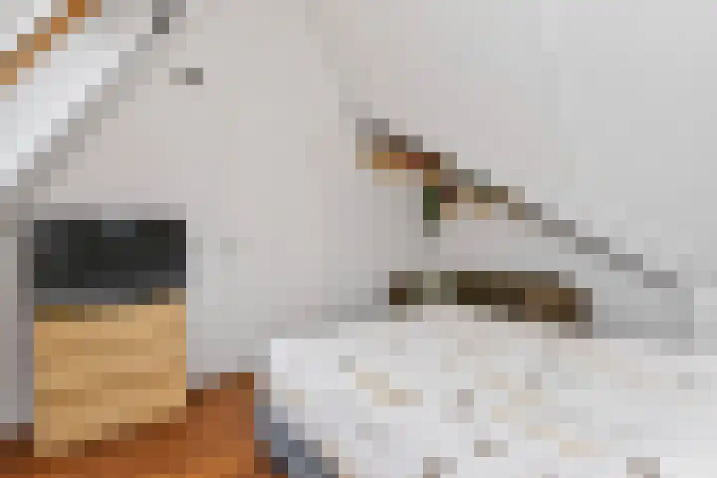 Claudiuslaan 57 P De Meern thumbnail 37
