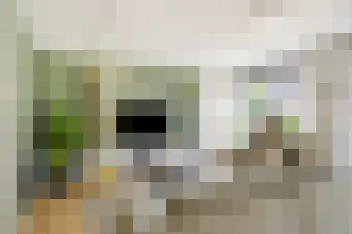 Claudiuslaan 69 Beuningen Gld thumbnail 10