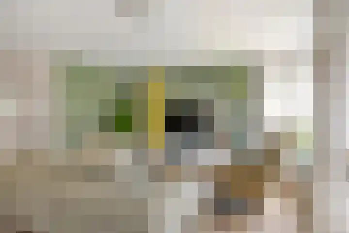 Claudiuslaan 69 Beuningen Gld thumbnail 11