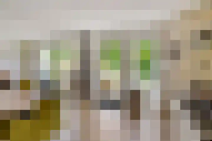 Claudiuslaan 69 Beuningen Gld thumbnail 17