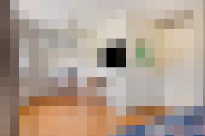 Claudiuslaan 69 Beuningen Gld thumbnail 21