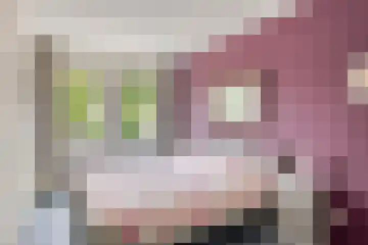 Claudiuslaan 69 Beuningen Gld thumbnail 22
