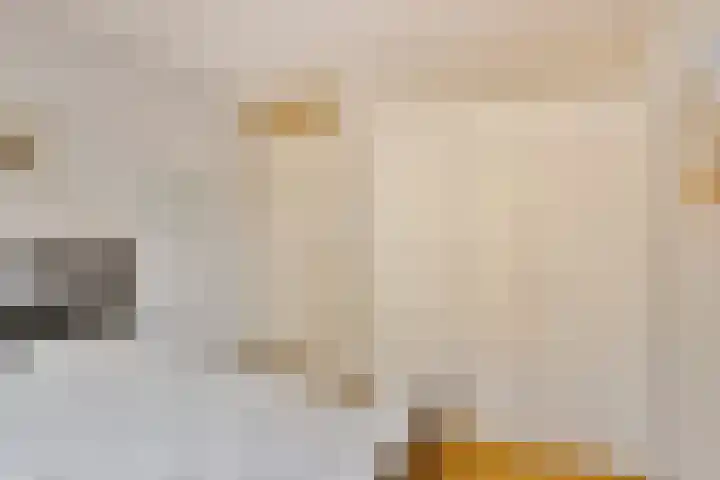 Claudiuslaan 69 Beuningen Gld thumbnail 25