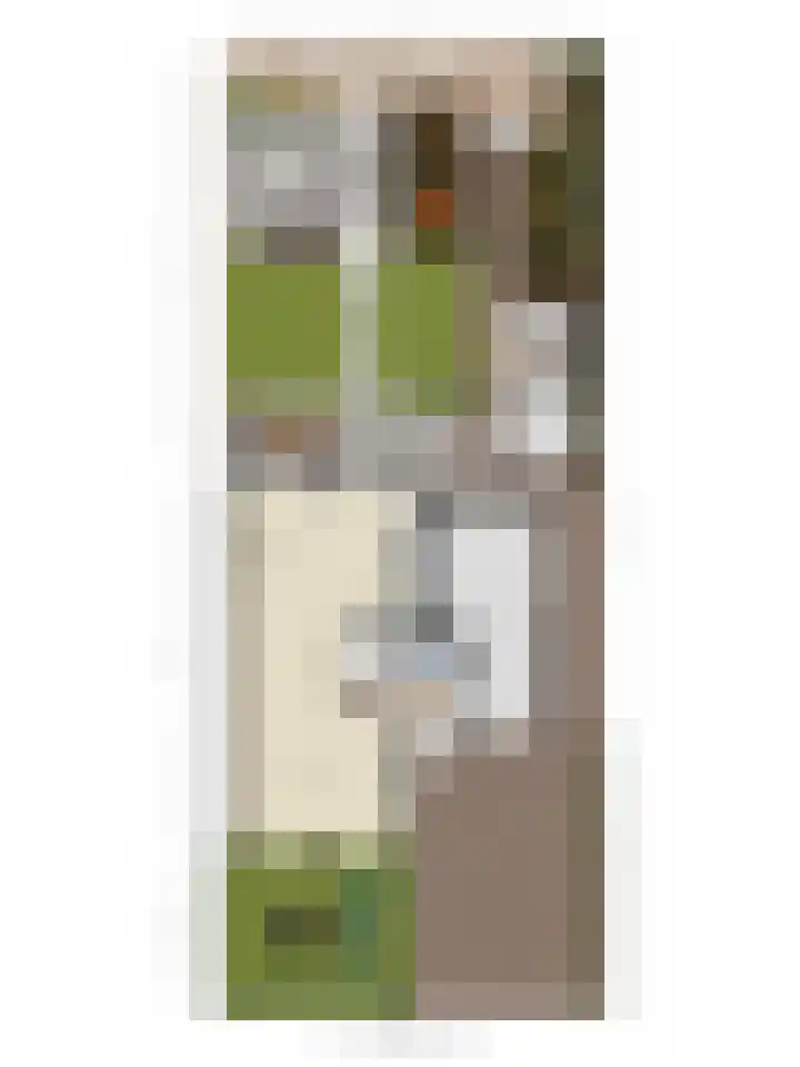 Claudiuslaan 69 Beuningen Gld thumbnail 49