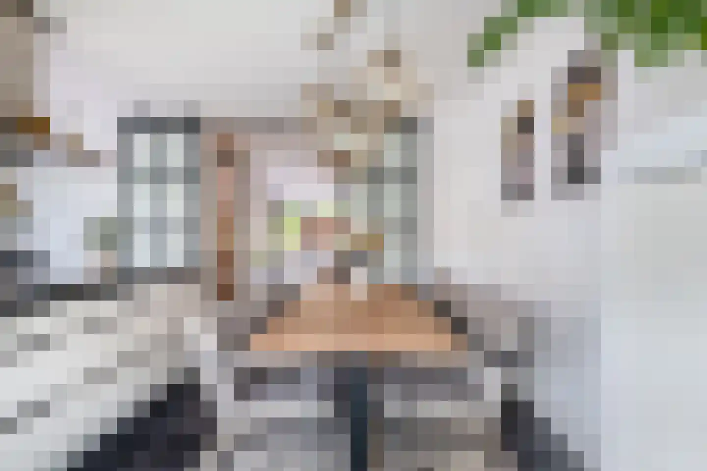 Claudiuslaan 86 De Meern thumbnail 16