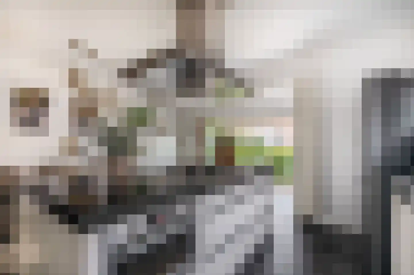 Claudiuslaan 86 De Meern thumbnail 18