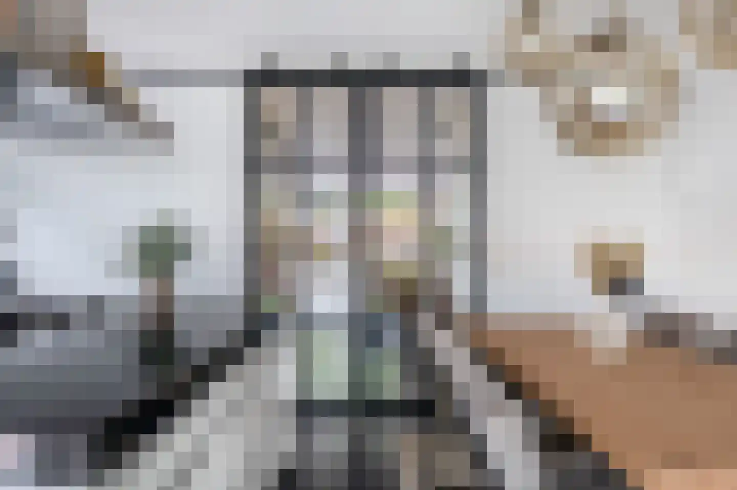 Claudiuslaan 86 De Meern thumbnail 20