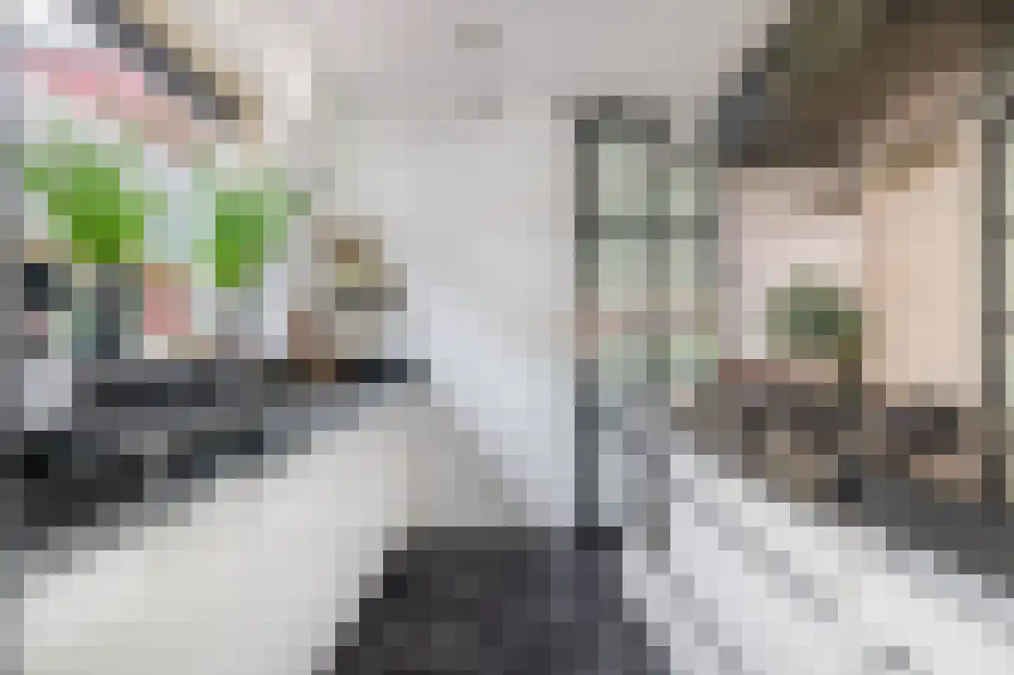 Claudiuslaan 86 De Meern thumbnail 21