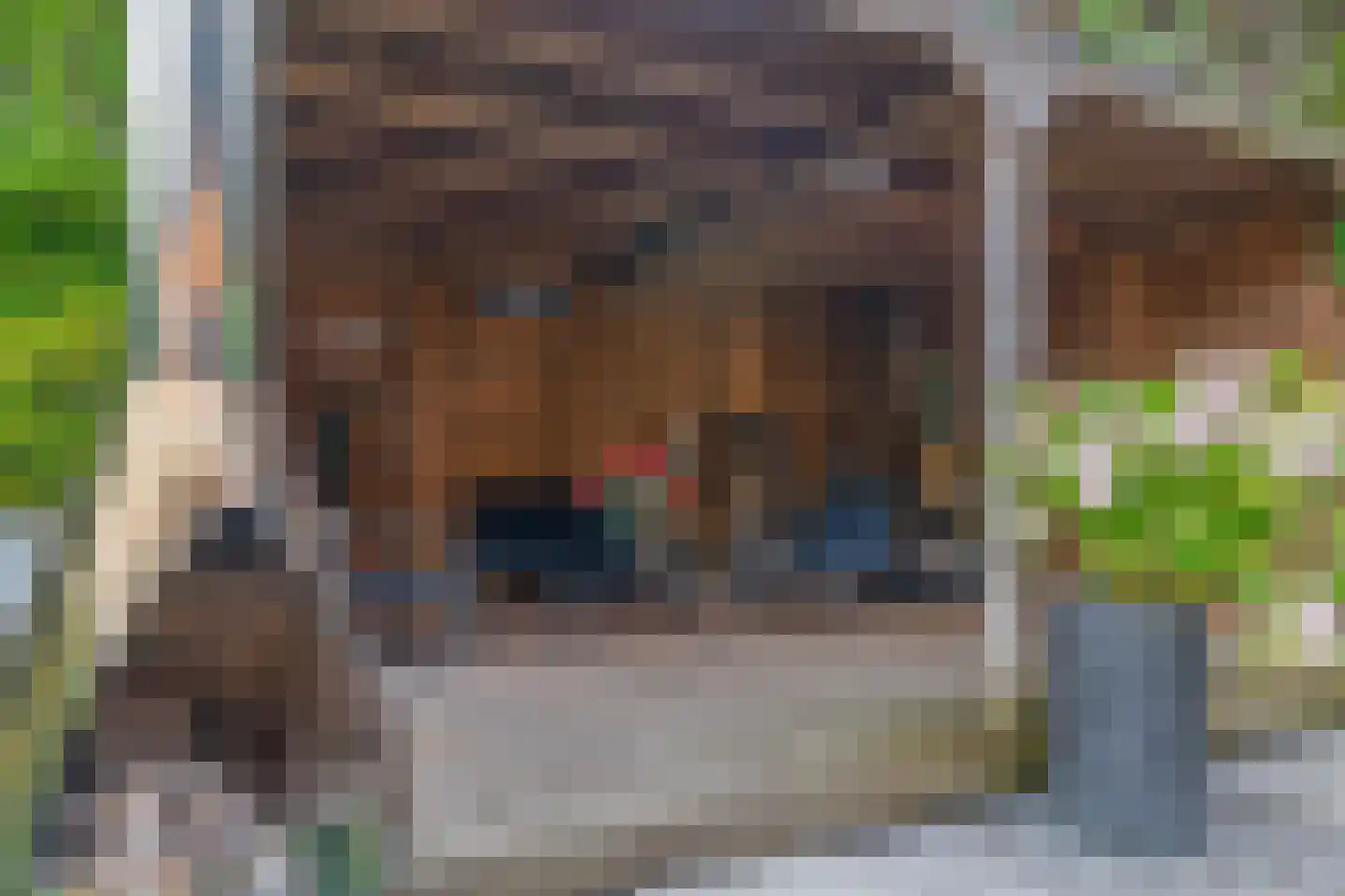 Claudiuslaan 86 De Meern thumbnail 25