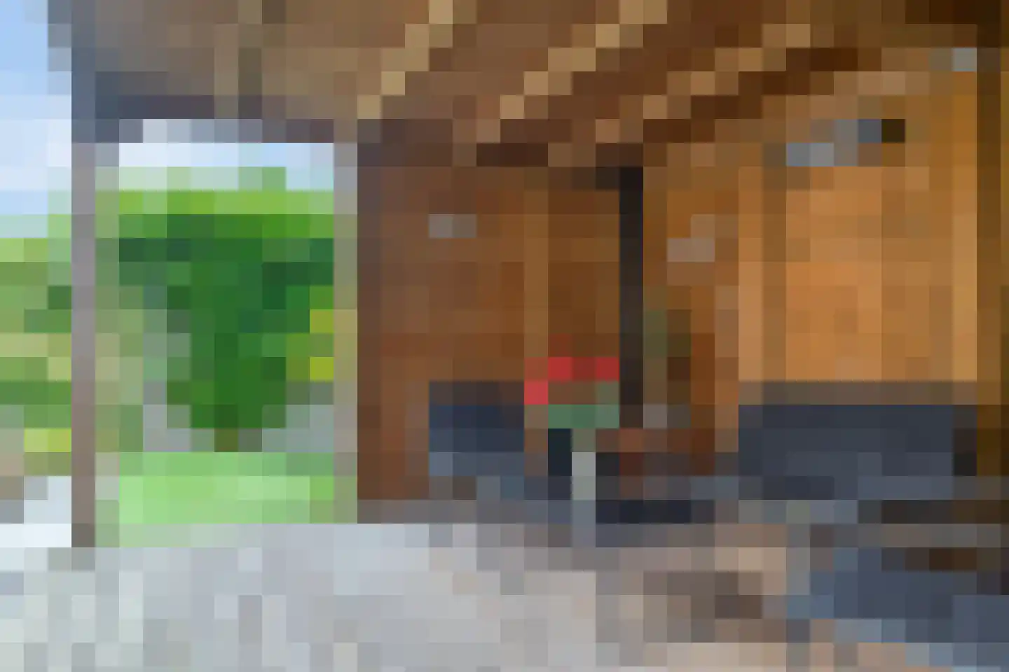 Claudiuslaan 86 De Meern thumbnail 26