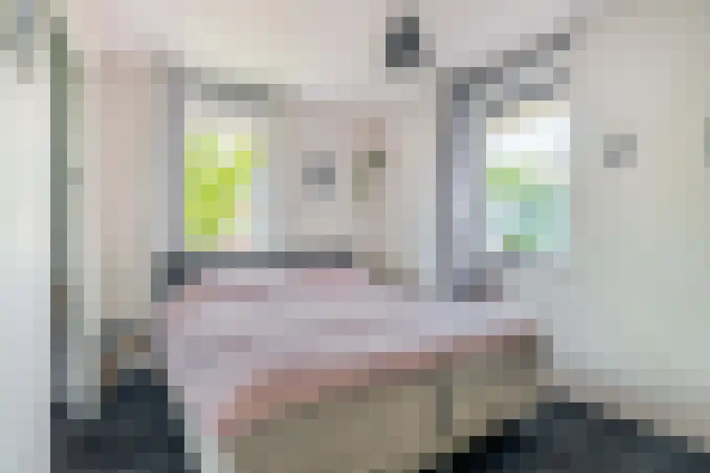 Claudiuslaan 86 De Meern thumbnail 31