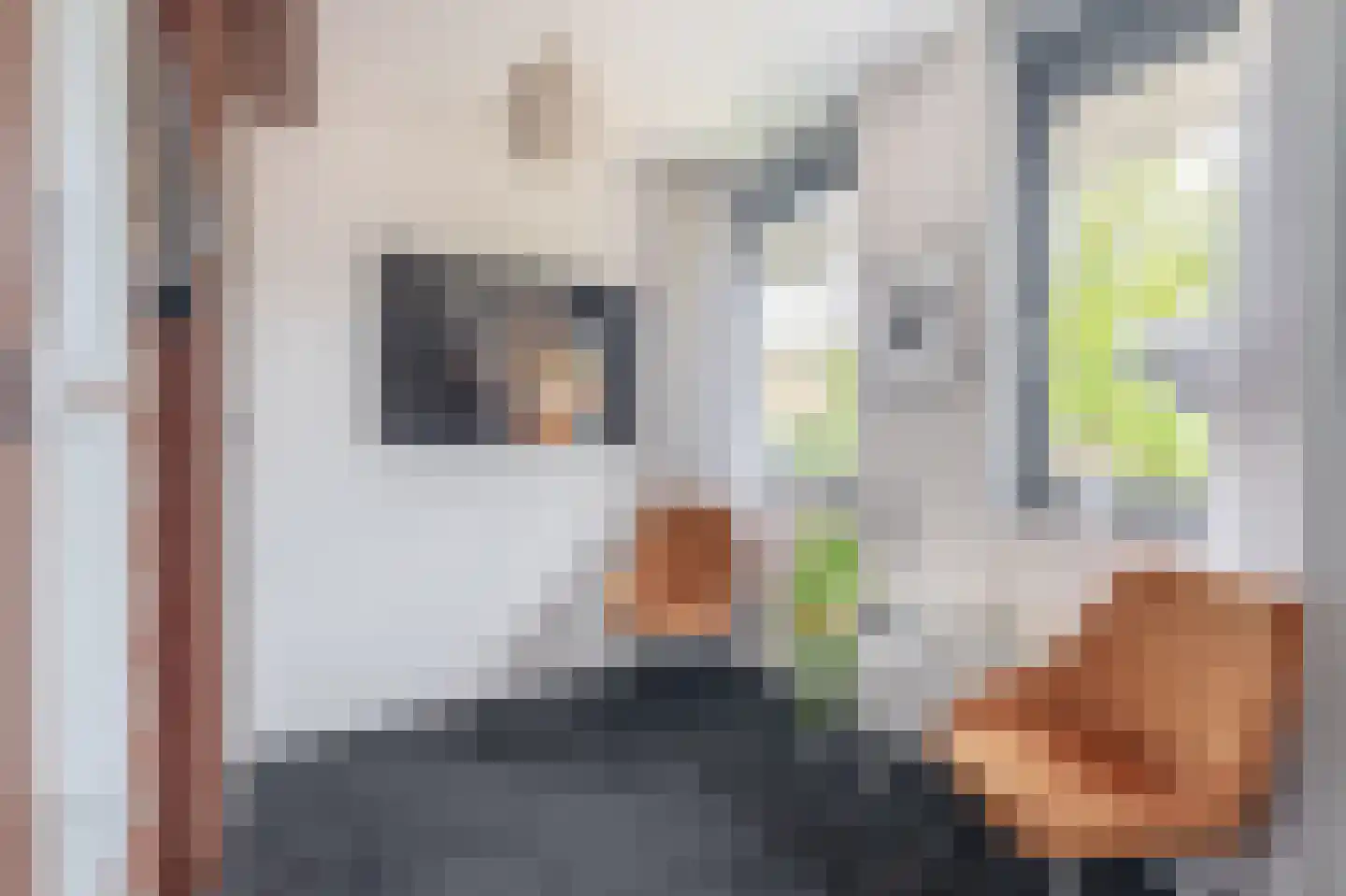Claudiuslaan 86 De Meern thumbnail 32