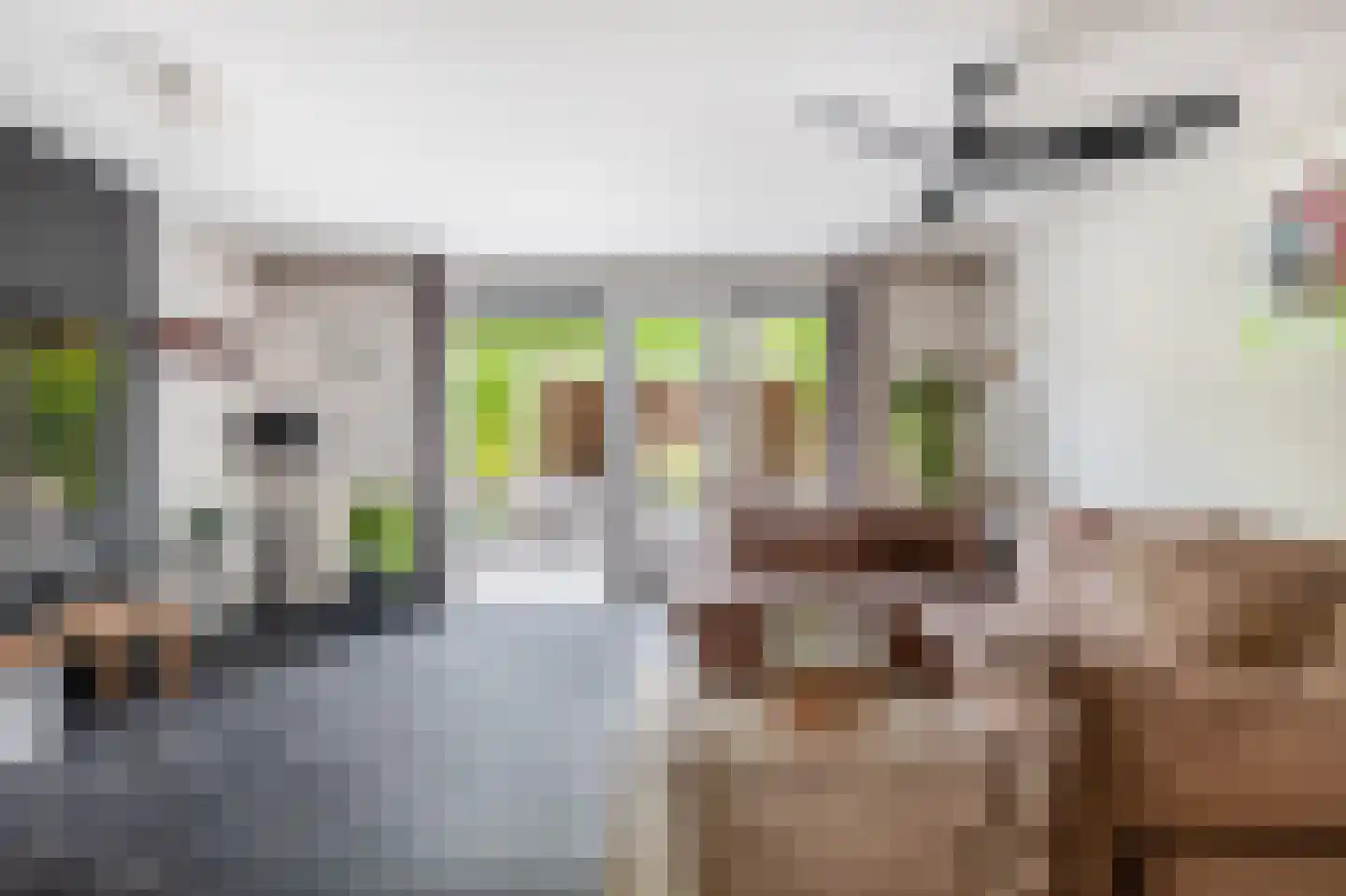 Claudiuslaan 86 De Meern thumbnail 9