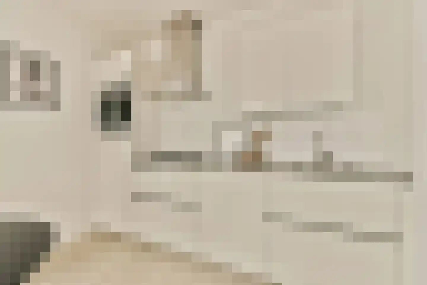 Claus Sluterweg 149 Haarlem thumbnail 8