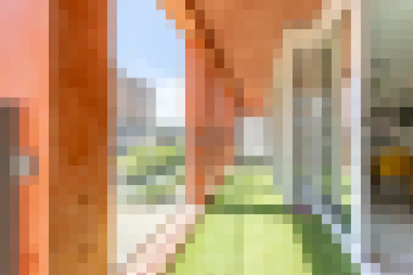 Claus Sluterweg 179 Haarlem thumbnail 19