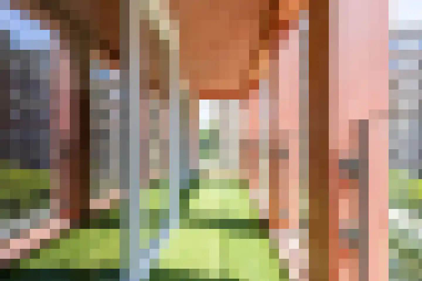 Claus Sluterweg 179 Haarlem thumbnail 20