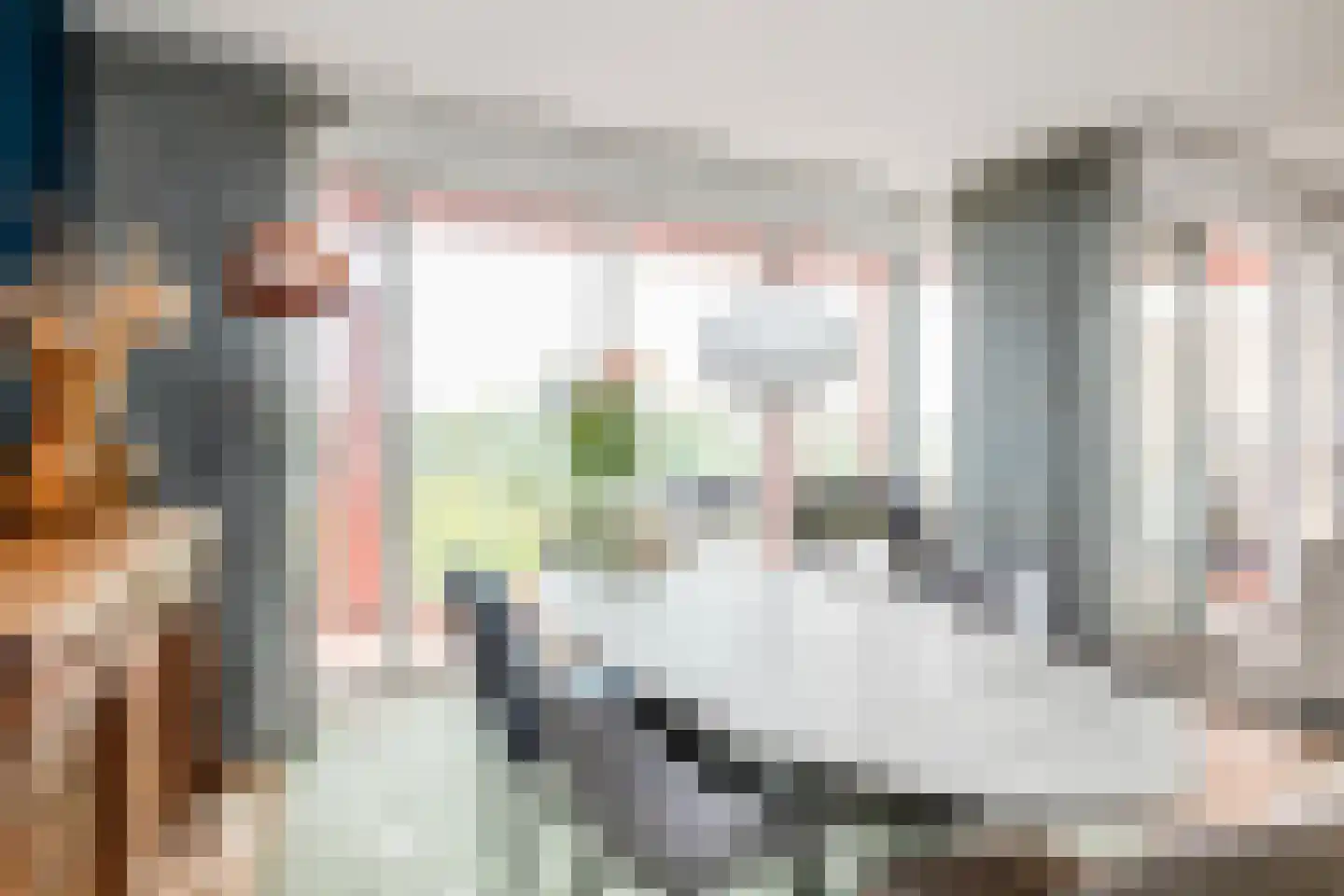 Claus Sluterweg 217 Haarlem thumbnail 15