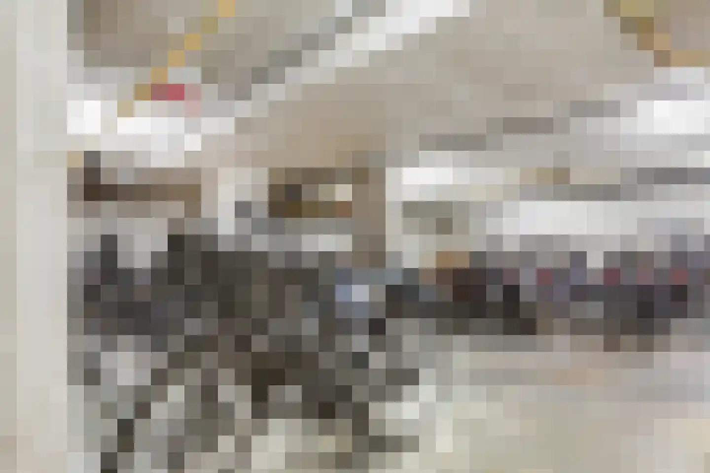 Claus Sluterweg 217 Haarlem thumbnail 40