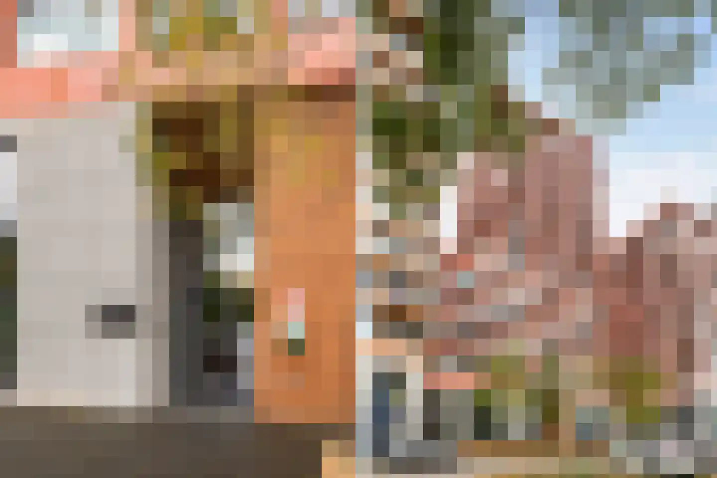 Claus Sluterweg 217 Haarlem thumbnail 5