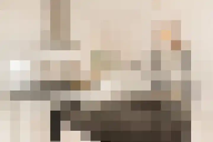 Claus Sluterweg 219 Haarlem thumbnail 17