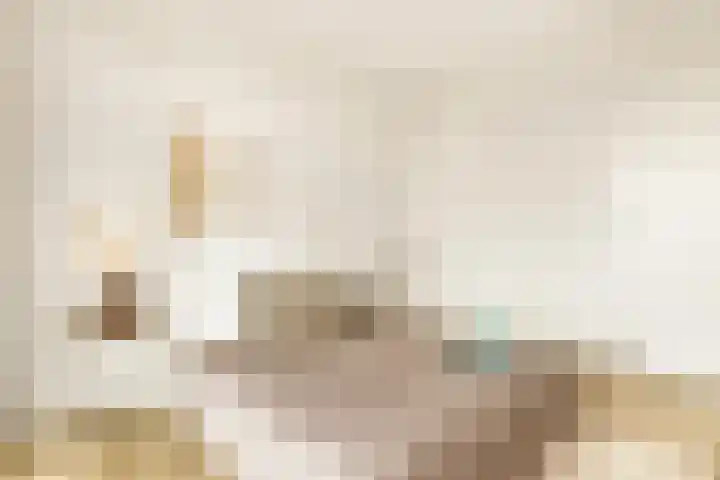 Claus Sluterweg 219 Haarlem thumbnail 25