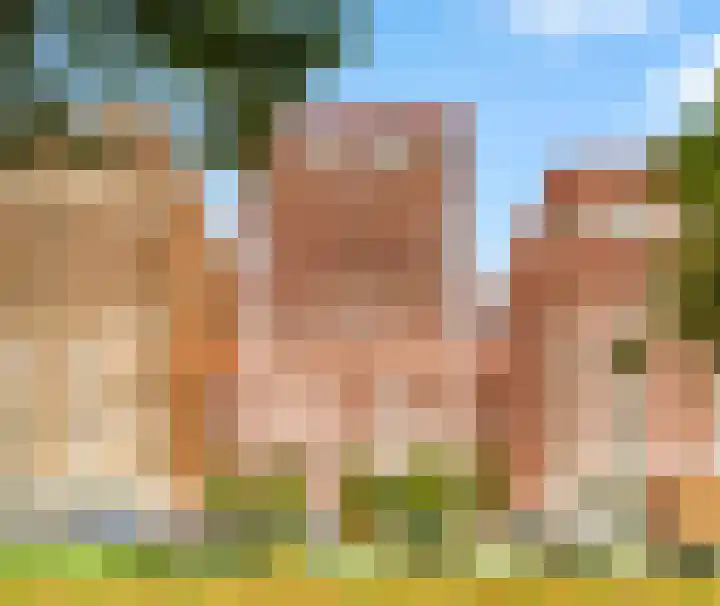 Claus Sluterweg 219 Haarlem thumbnail 32