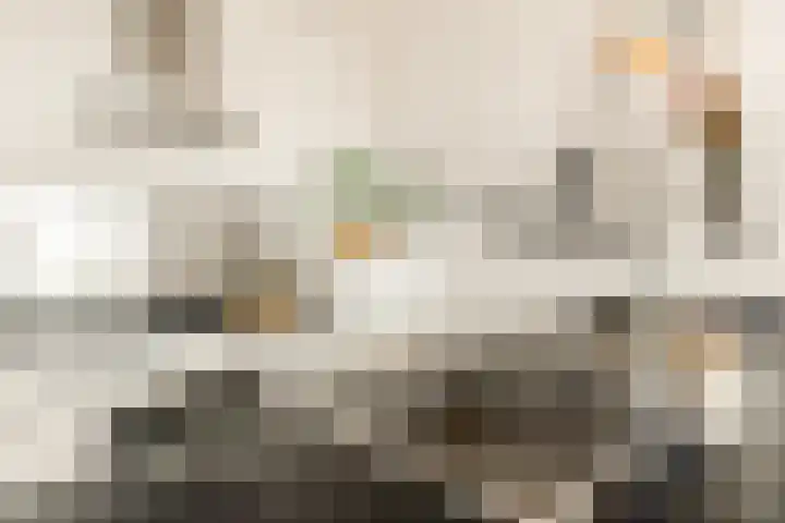 Claus Sluterweg 219 Haarlem thumbnail 4