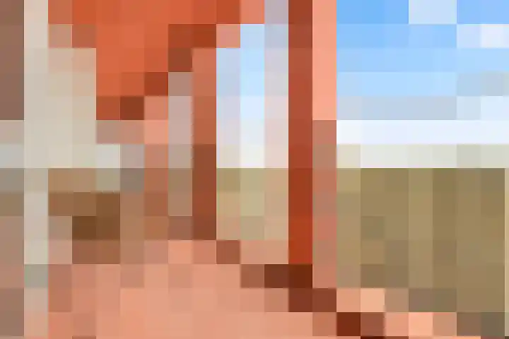 Claus Sluterweg 219 Haarlem thumbnail 5