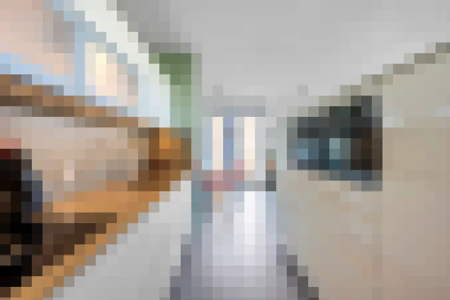 Claus Sluterweg 237 Haarlem thumbnail 16
