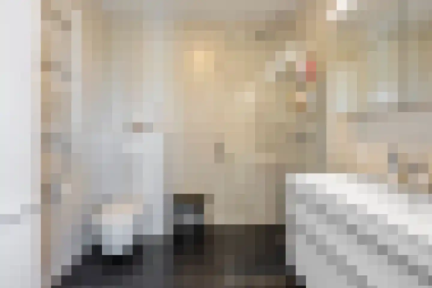 Claus Sluterweg 237 Haarlem thumbnail 22