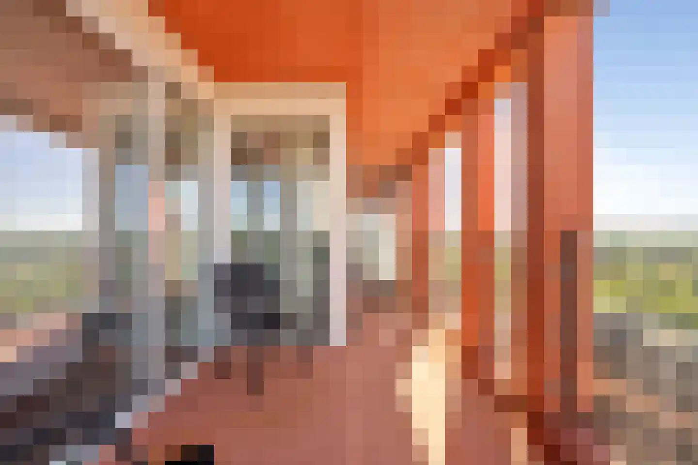 Claus Sluterweg 237 Haarlem thumbnail 27
