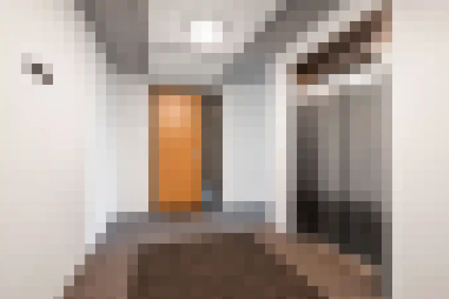 Claus Sluterweg 245 Haarlem thumbnail 33