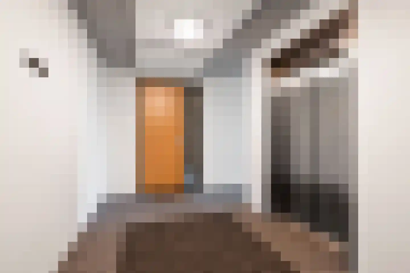 Claus Sluterweg 245 Haarlem thumbnail 33