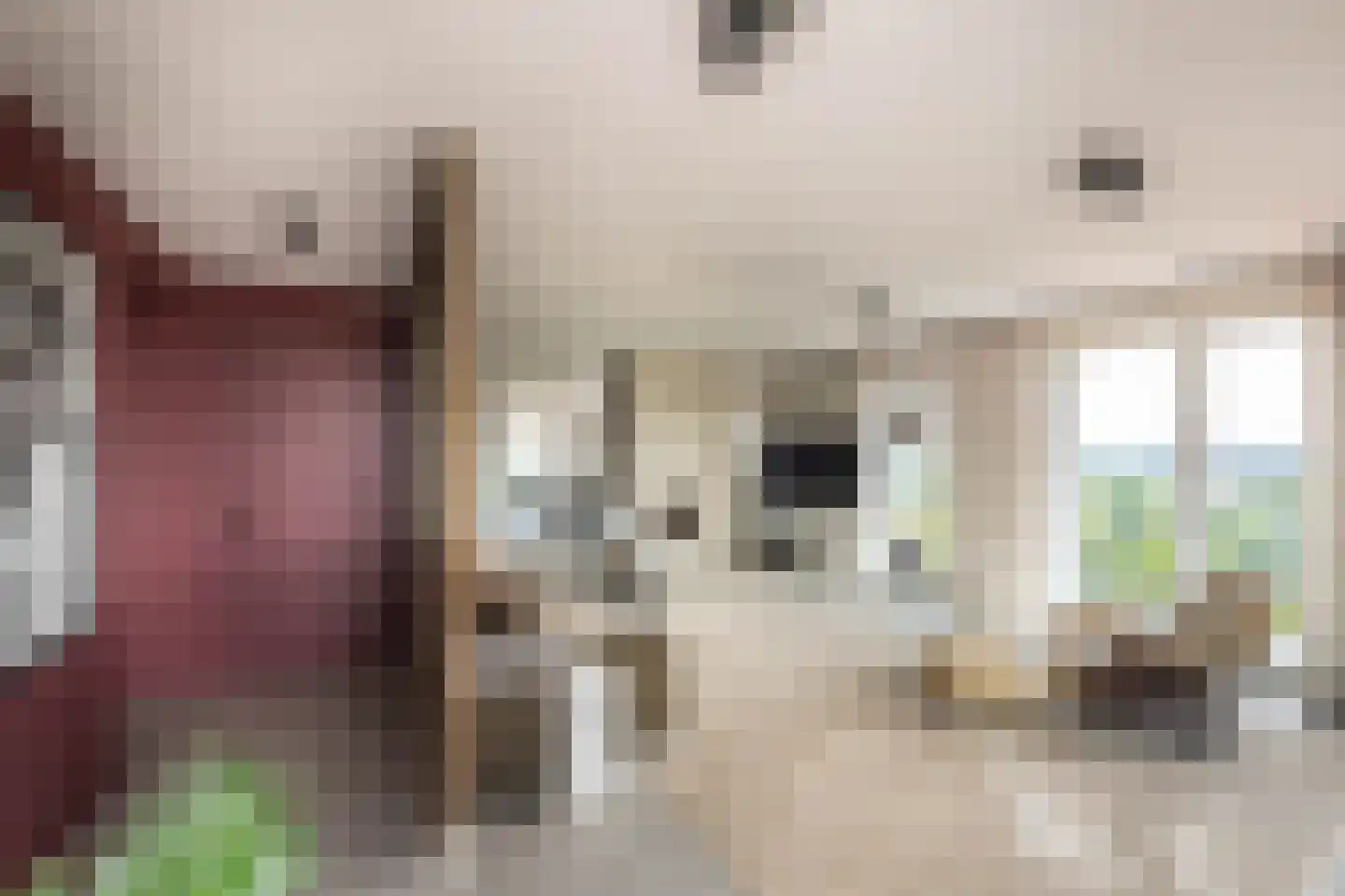 Claus Sluterweg 247 Haarlem thumbnail 11