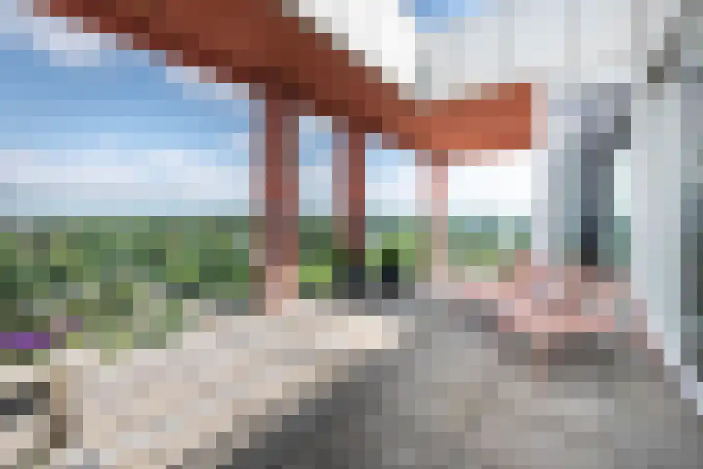 Claus Sluterweg 247 Haarlem thumbnail 17