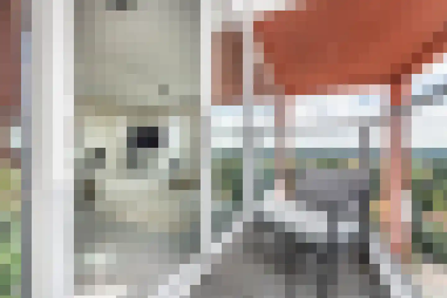 Claus Sluterweg 247 Haarlem thumbnail 19