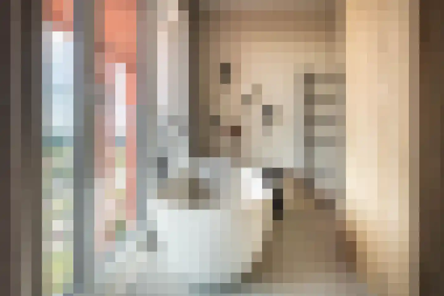 Claus Sluterweg 247 Haarlem thumbnail 30