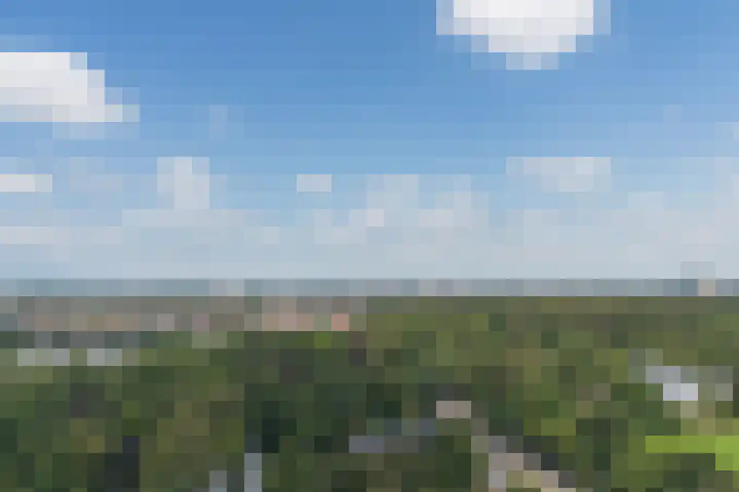 Claus Sluterweg 247 Haarlem thumbnail 4