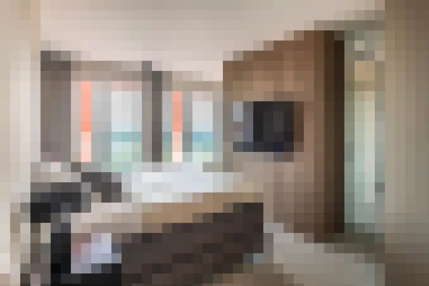 Claus Sluterweg 247 Haarlem thumbnail 5