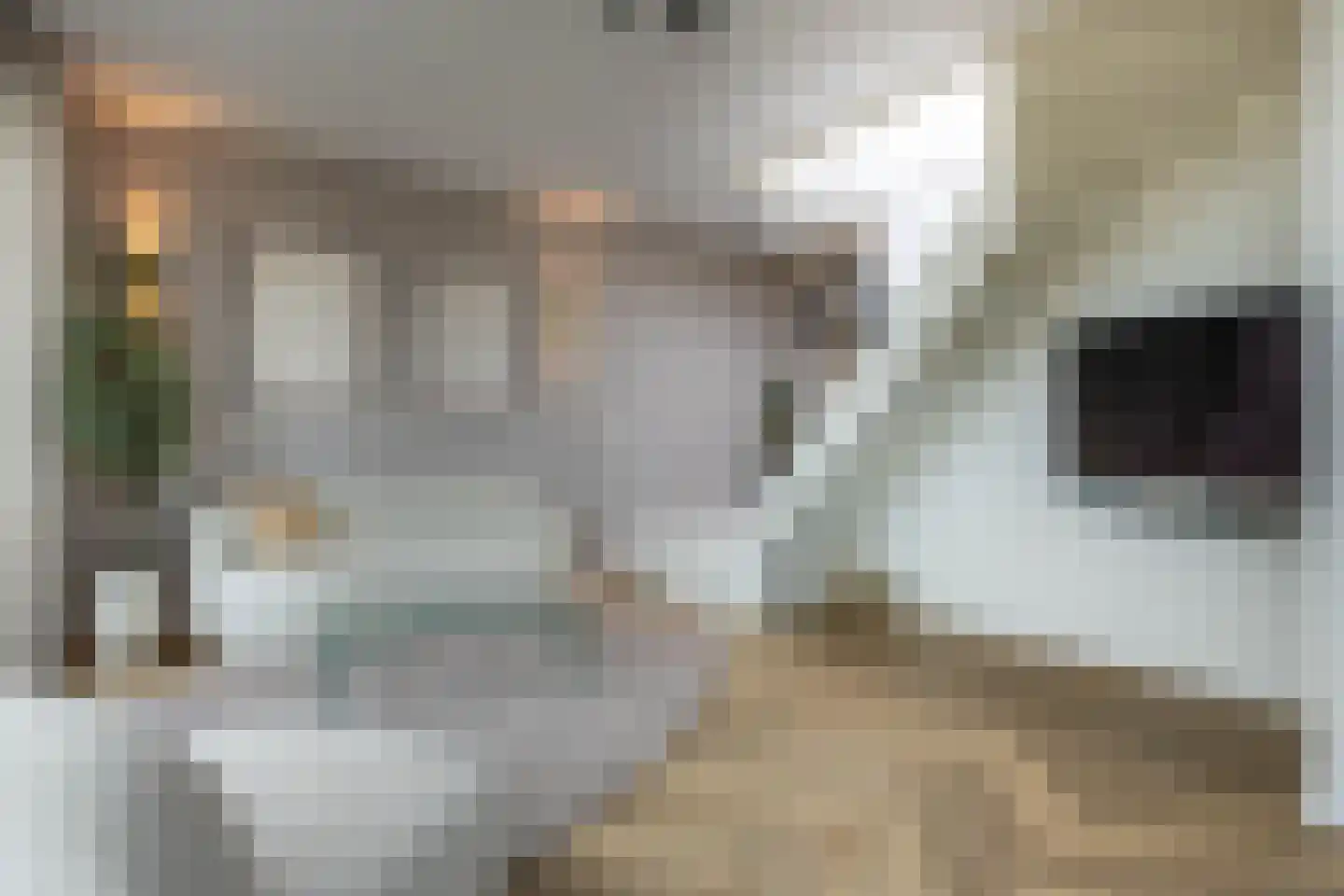 Claus Sluterweg 249 Haarlem thumbnail 10
