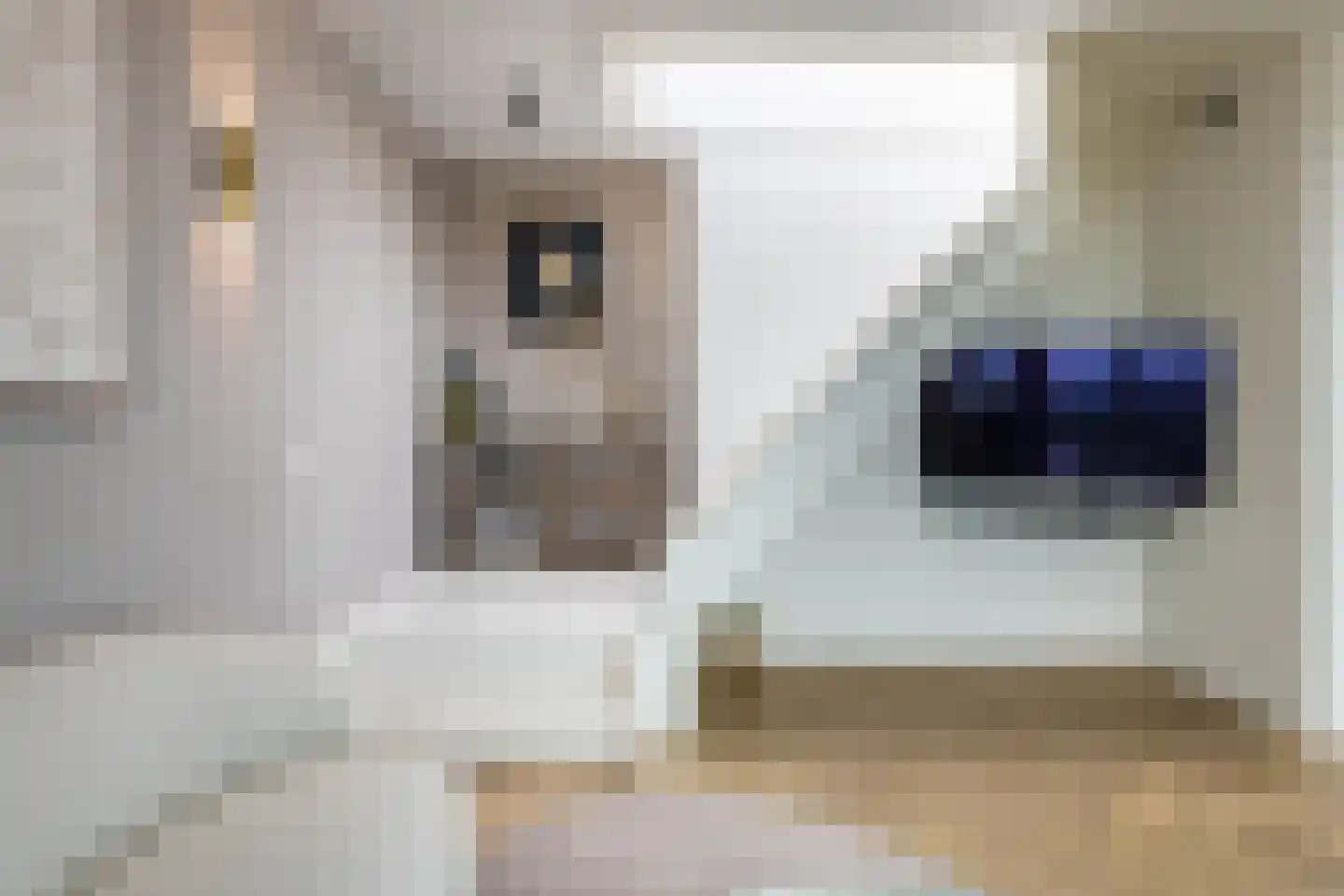 Claus Sluterweg 249 Haarlem thumbnail 11