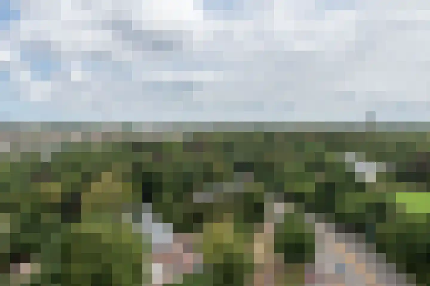 Claus Sluterweg 249 Haarlem thumbnail 26