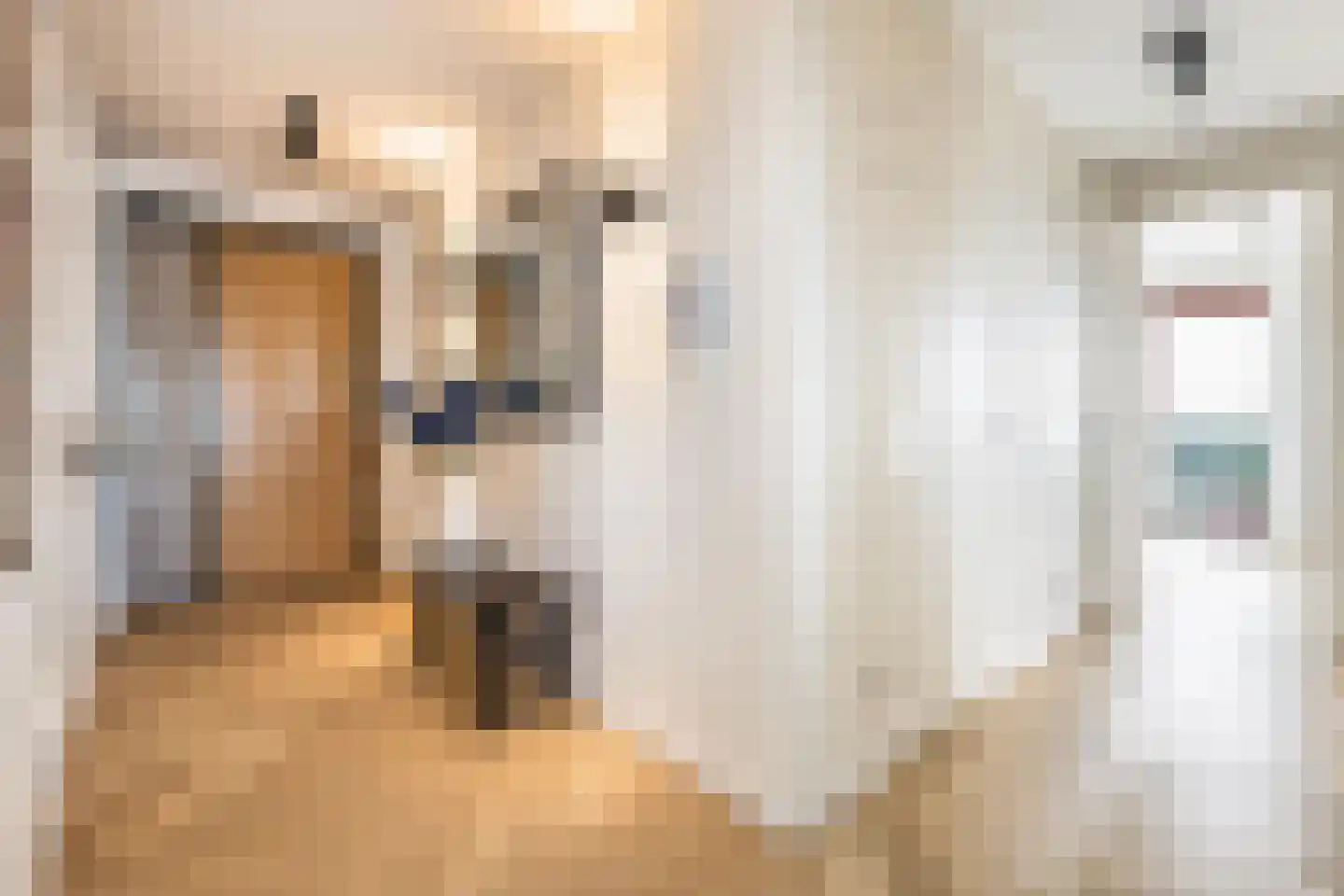 Claus Sluterweg 249 Haarlem thumbnail 27