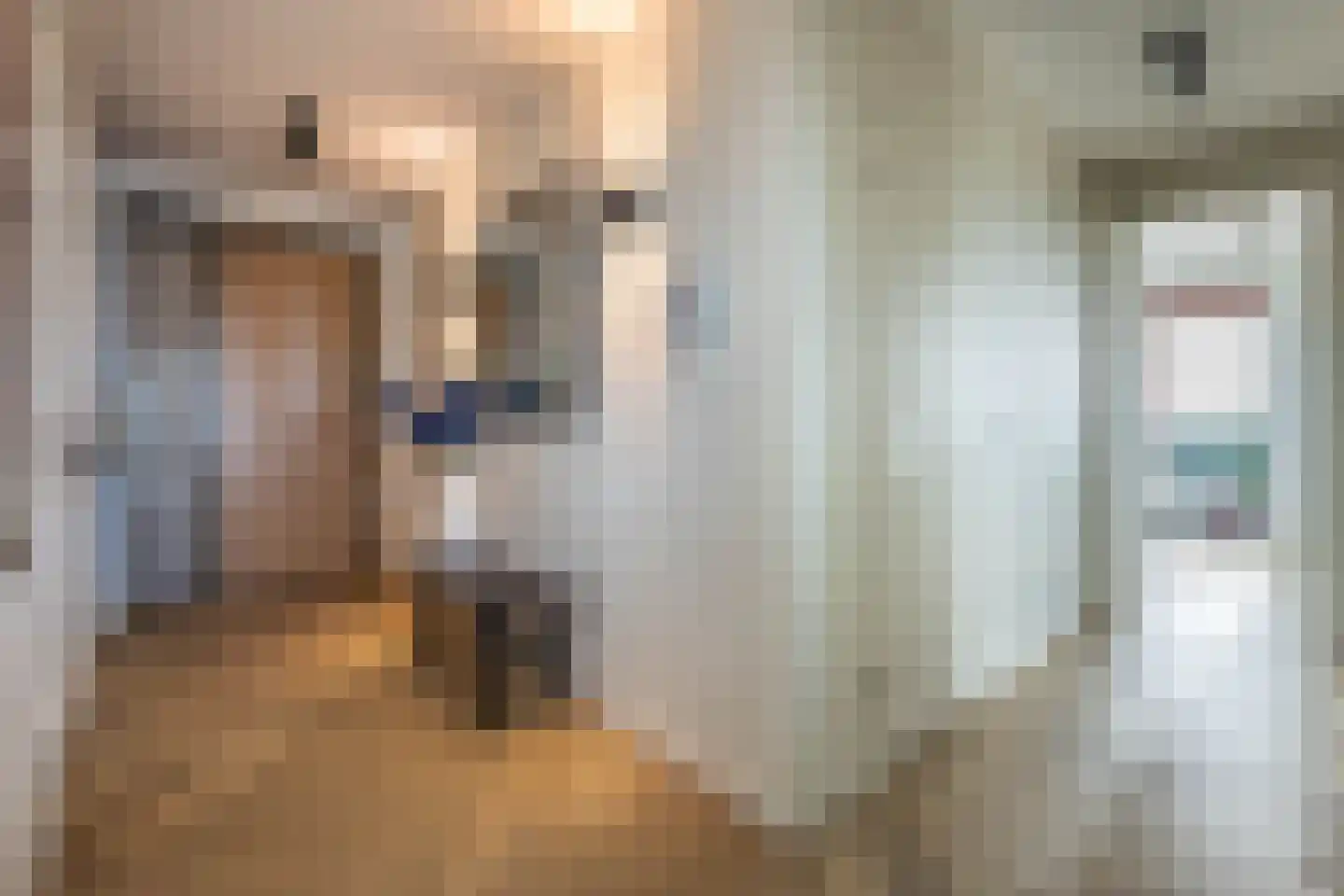 Claus Sluterweg 249 Haarlem thumbnail 28