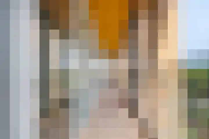 Claus Sluterweg 267 Haarlem thumbnail 24