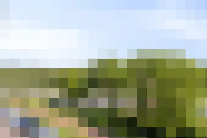 Claus Sluterweg 267 Haarlem thumbnail 25