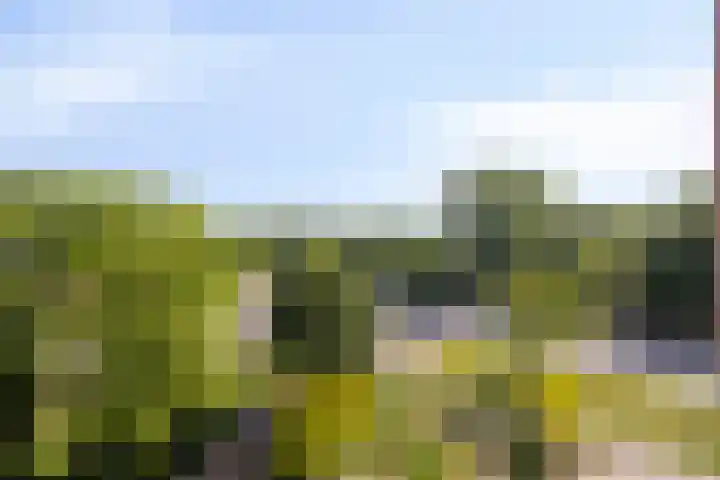 Claus Sluterweg 267 Haarlem thumbnail 26