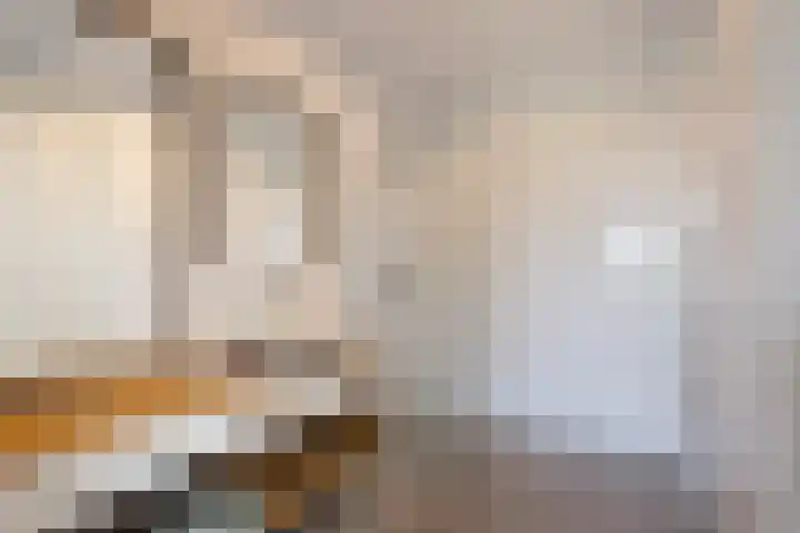 Claus Sluterweg 267 Haarlem thumbnail 29