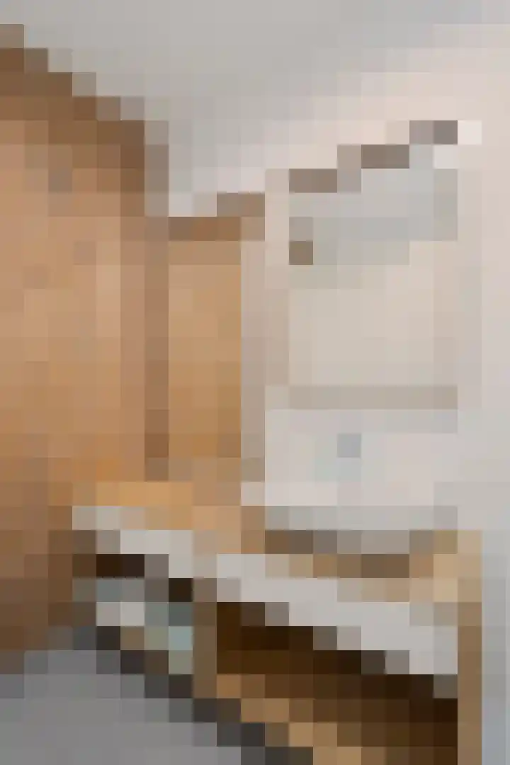 Claus Sluterweg 267 Haarlem thumbnail 30