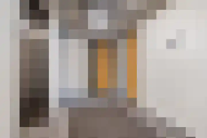 Claus Sluterweg 267 Haarlem thumbnail 36